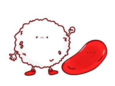 バセドウ病の血液検査経過　白血球の変化